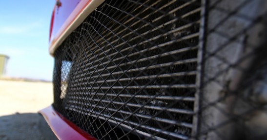 Testy Polo Proto